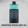 MOUNTAIN SPRING MINT ICE – IGET ONE – 12000 PUFFS