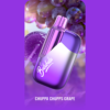 Bulubulu 12000/15000 Puffs - Chuppa Chupps Grape