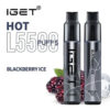 BLACKBERRY – IGET HOT – 5500 PUFFS